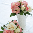Loose Pink and White Roses